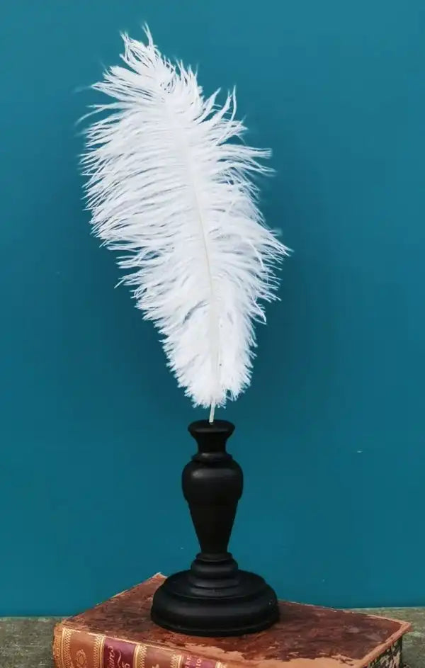 Piuma di struzzo 40CM