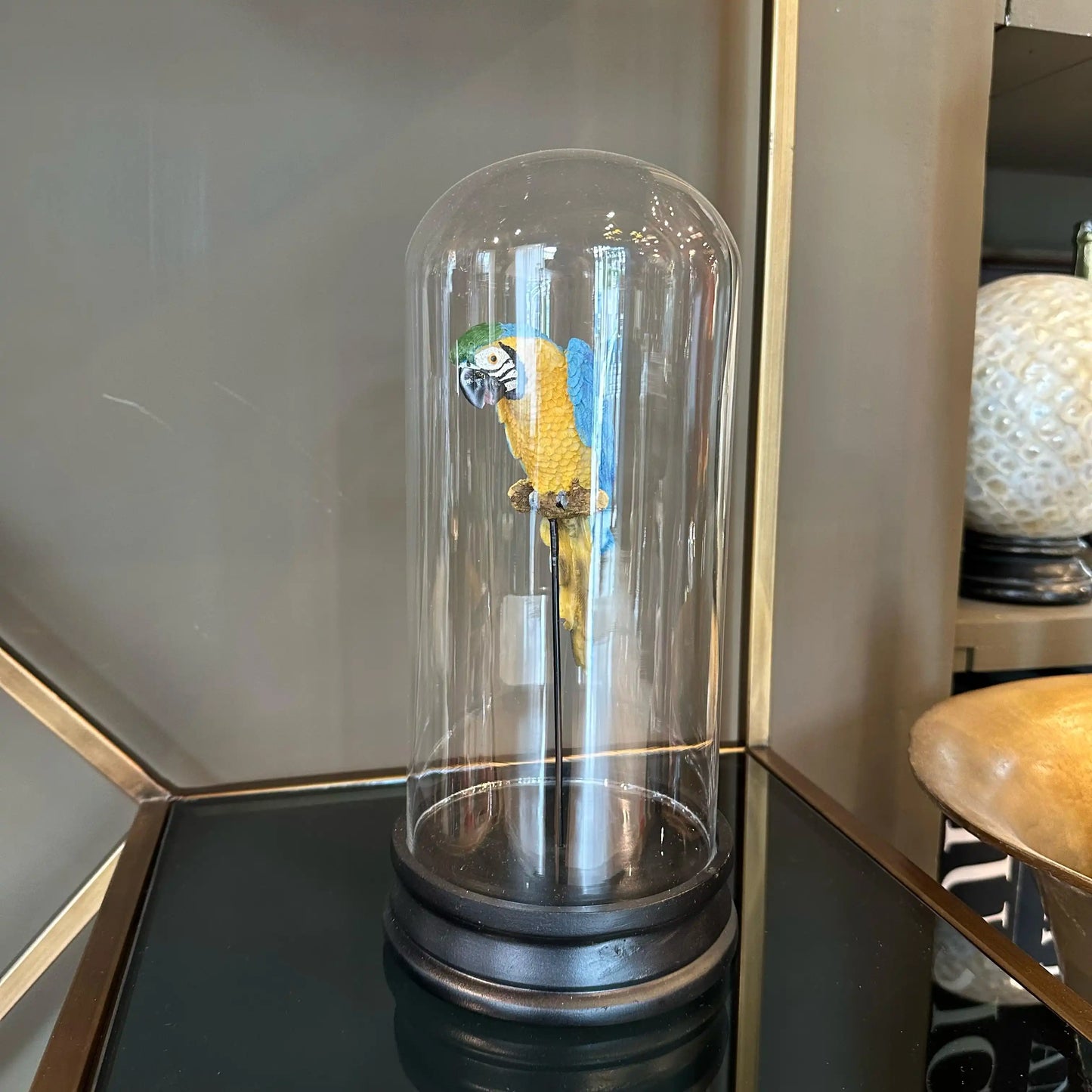Teca decorativa con pappagallo