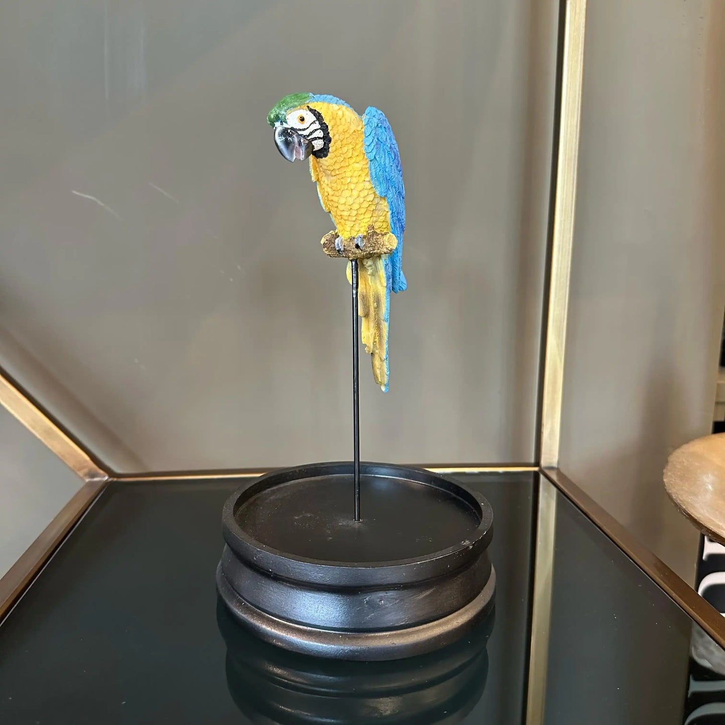 Teca decorativa con pappagallo