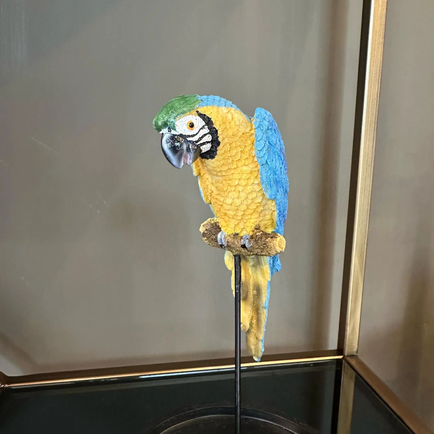 Teca decorativa con pappagallo