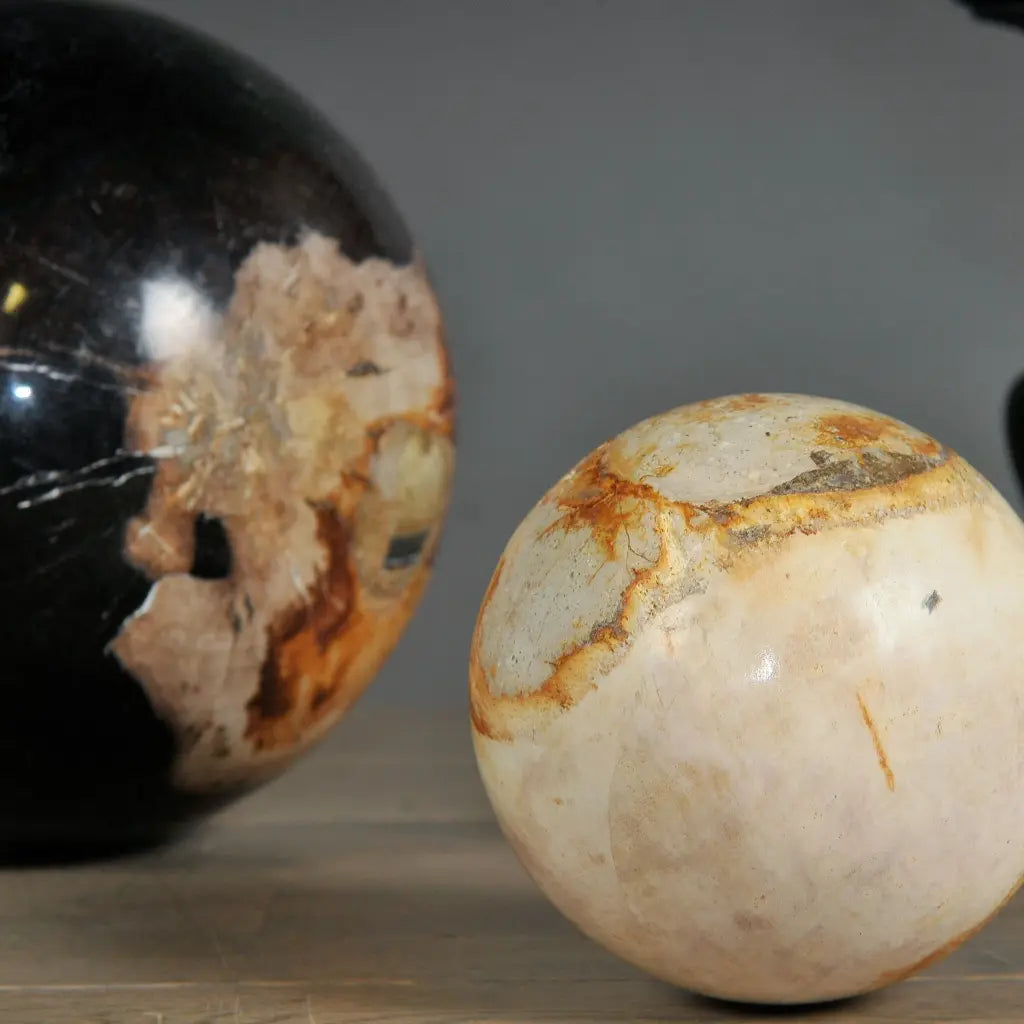 Set di 5 palline decorative in Legno pietrificato 16,12,10,8,6 dm