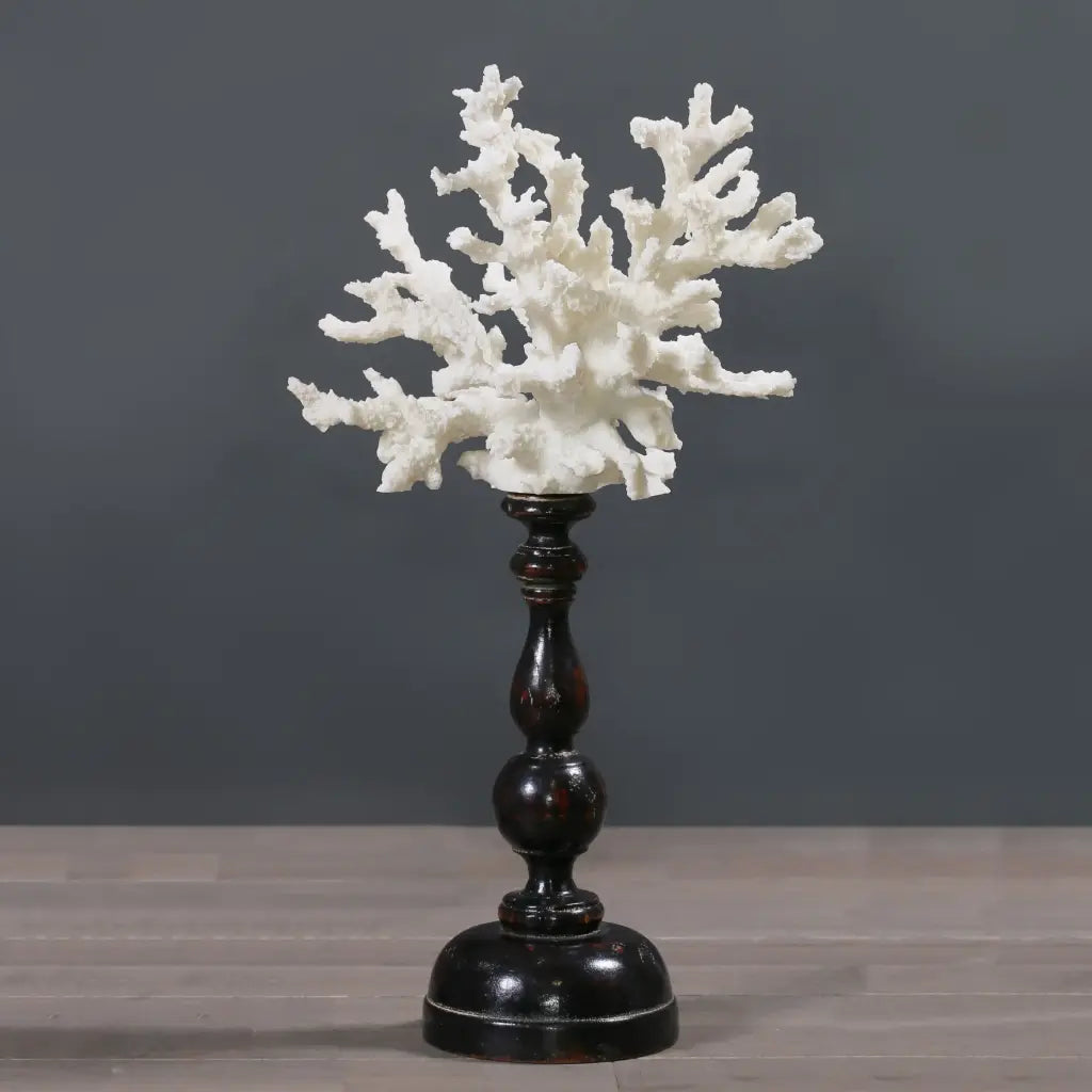 Corallo su piedistallo 45cm