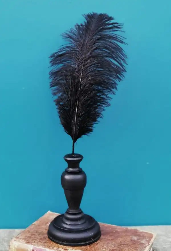 Piuma di struzzo 40CM