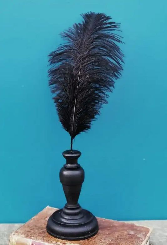 Piuma di struzzo 40CM