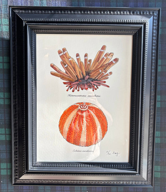 Quadro con design naturalistico 30x40cm