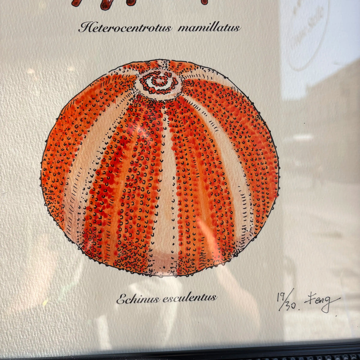 Quadro con design naturalistico 30x40cm