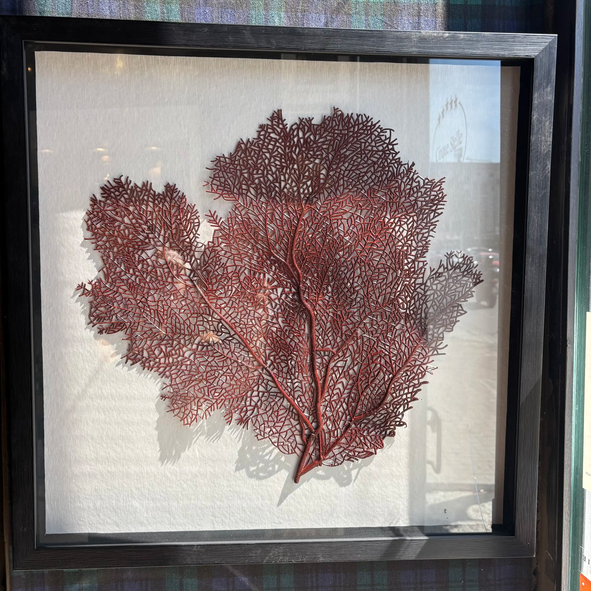 Quadro gorgonia ruggine 60x60cm