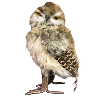 Gufi Goodwill