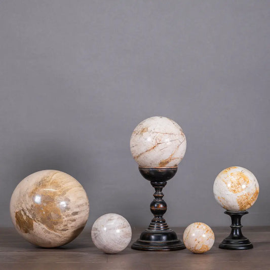 Set di 5 palline decorative in Legno pietrificato 16,12,10,8,6 dm